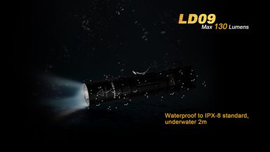 fenix-LD09-02