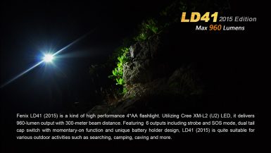 fenix-LD41XML2V2-07
